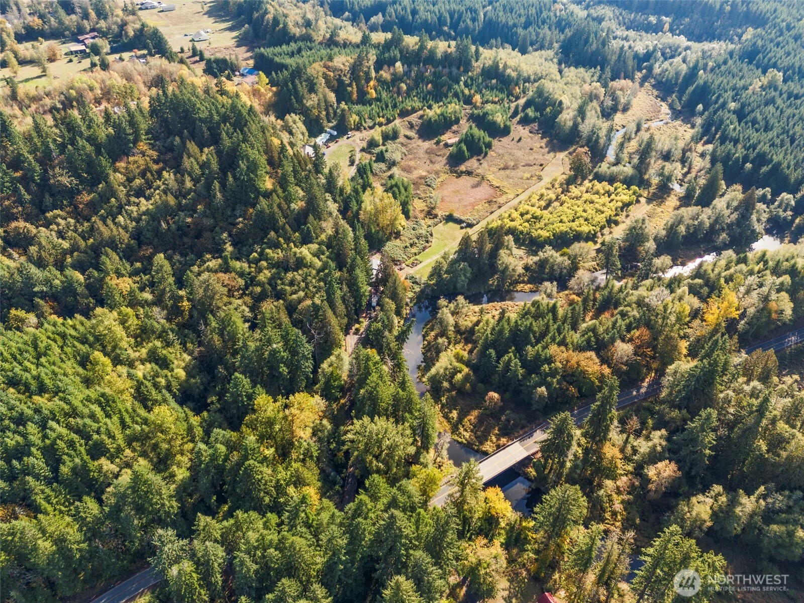 259-10 Tooley Road Toledo, WA 98591 - Photo 32 of 40 a view of a tree