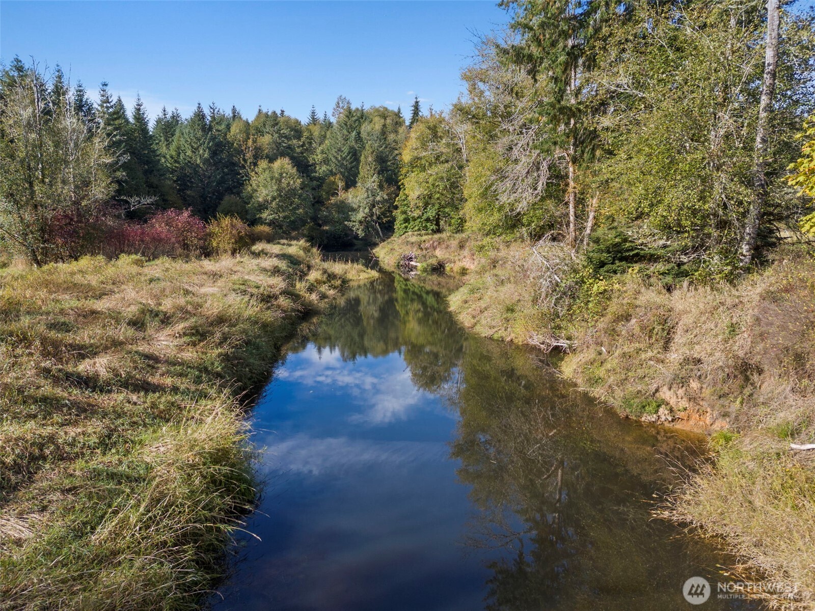259-10 Tooley Road Toledo, WA 98591 - Photo 40 of 40 a view of a yard with trees