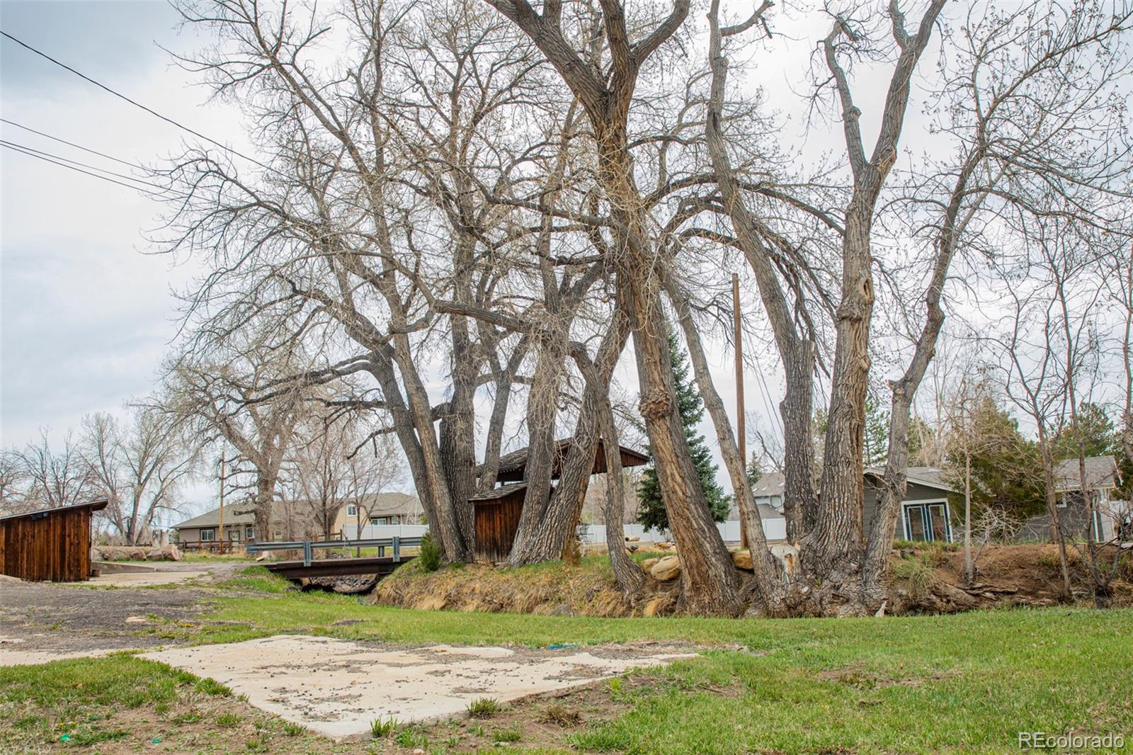 5380 Easley Road Golden, CO 80403 - Photo 30 of 38 a view of a yard with trees