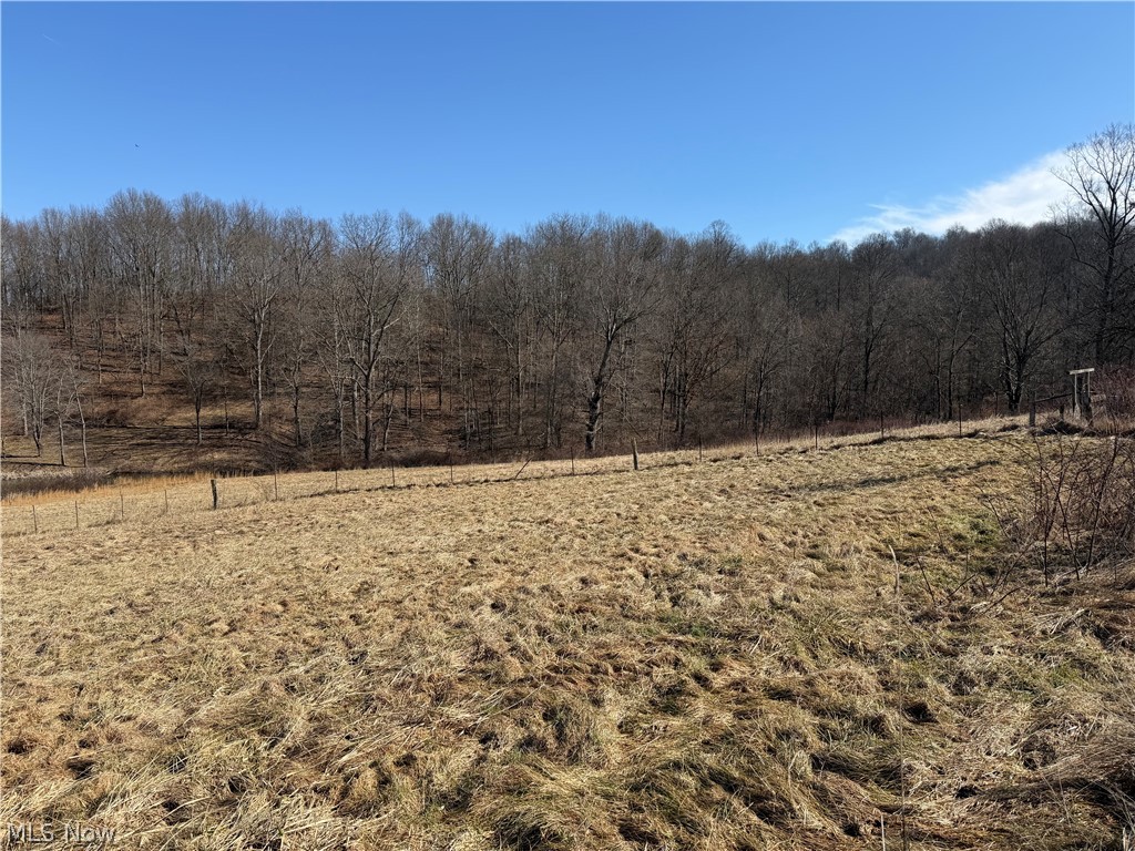 31785 Piedmont-Freeport Road Freeport, OH 43973 - Photo 17 of 50