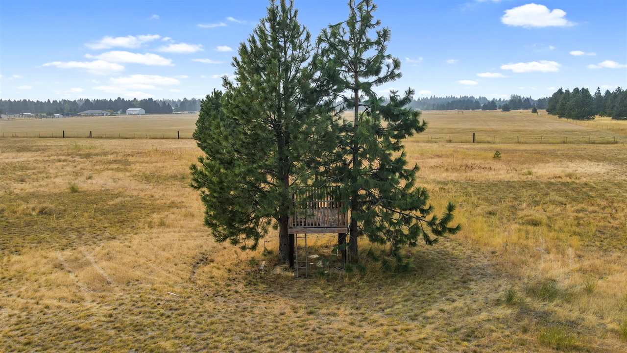 16616 West Deno Road Medical Lake, WA 99022 - Photo 23 of 29