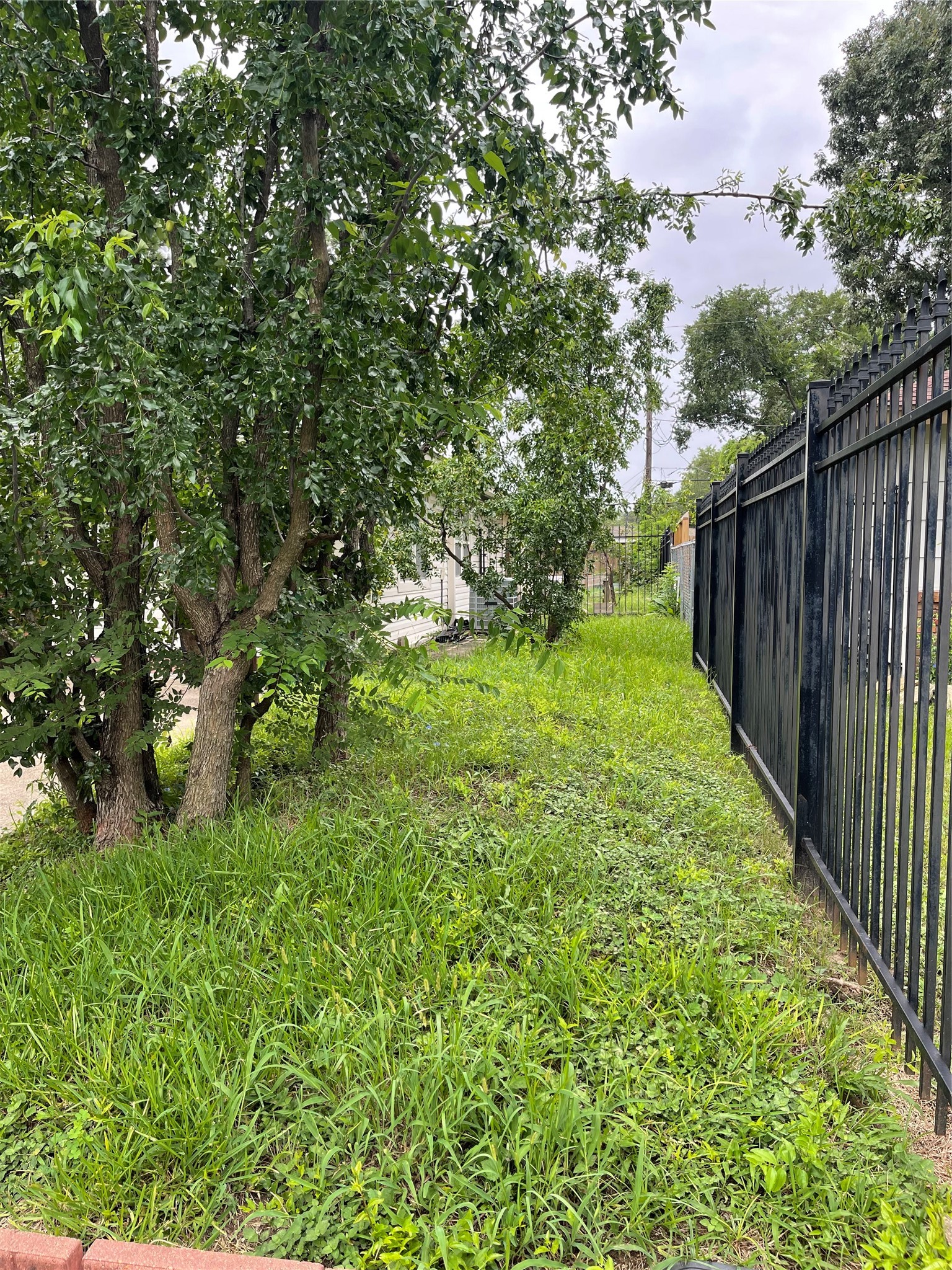 7403 Dearborn Street Houston, TX 77055 - Photo 14 of 14 a view of yard with green space