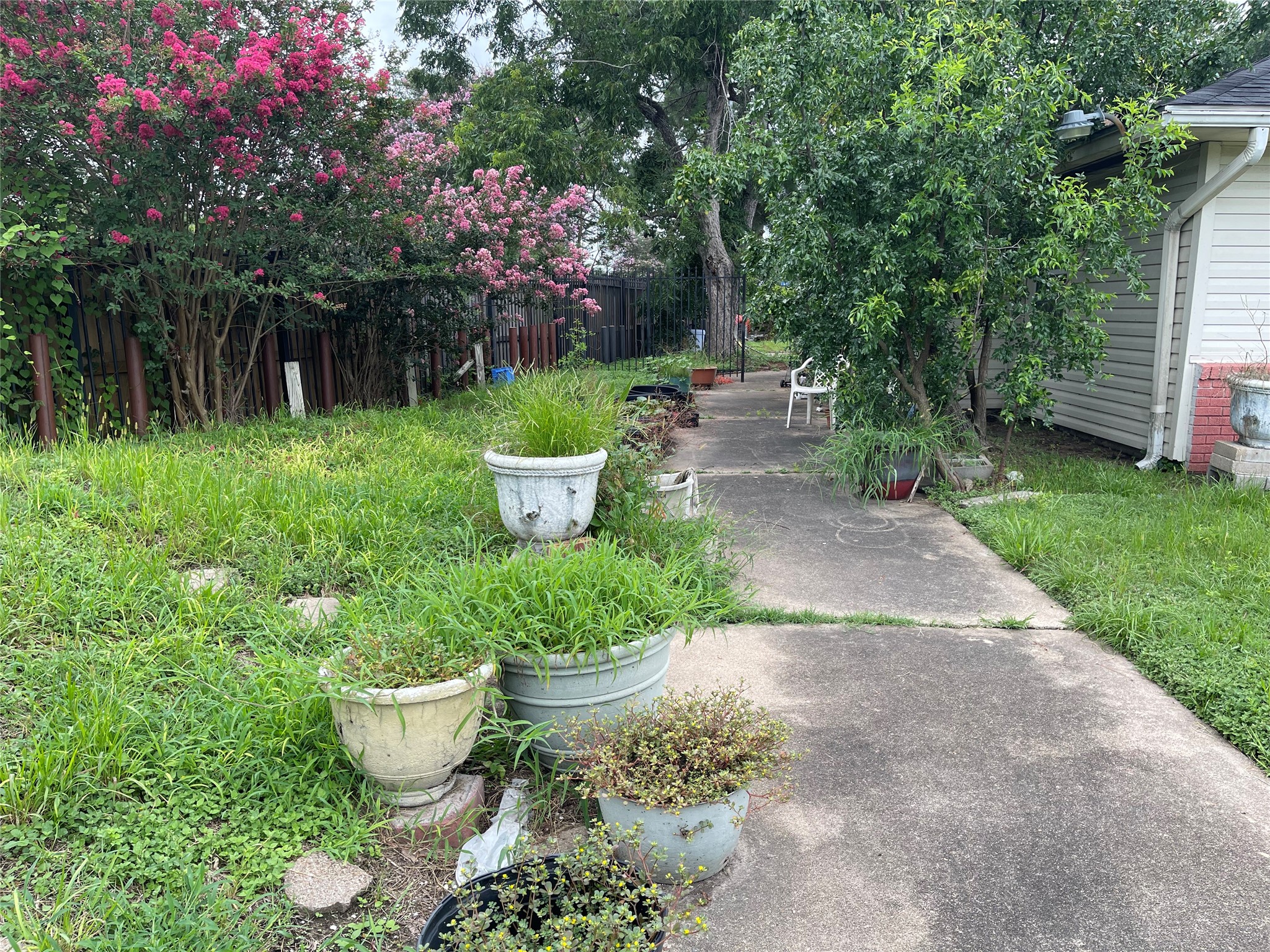 7403 Dearborn Street Houston, TX 77055 - Photo 4 of 14 a view of a backyard with plants and a fountain