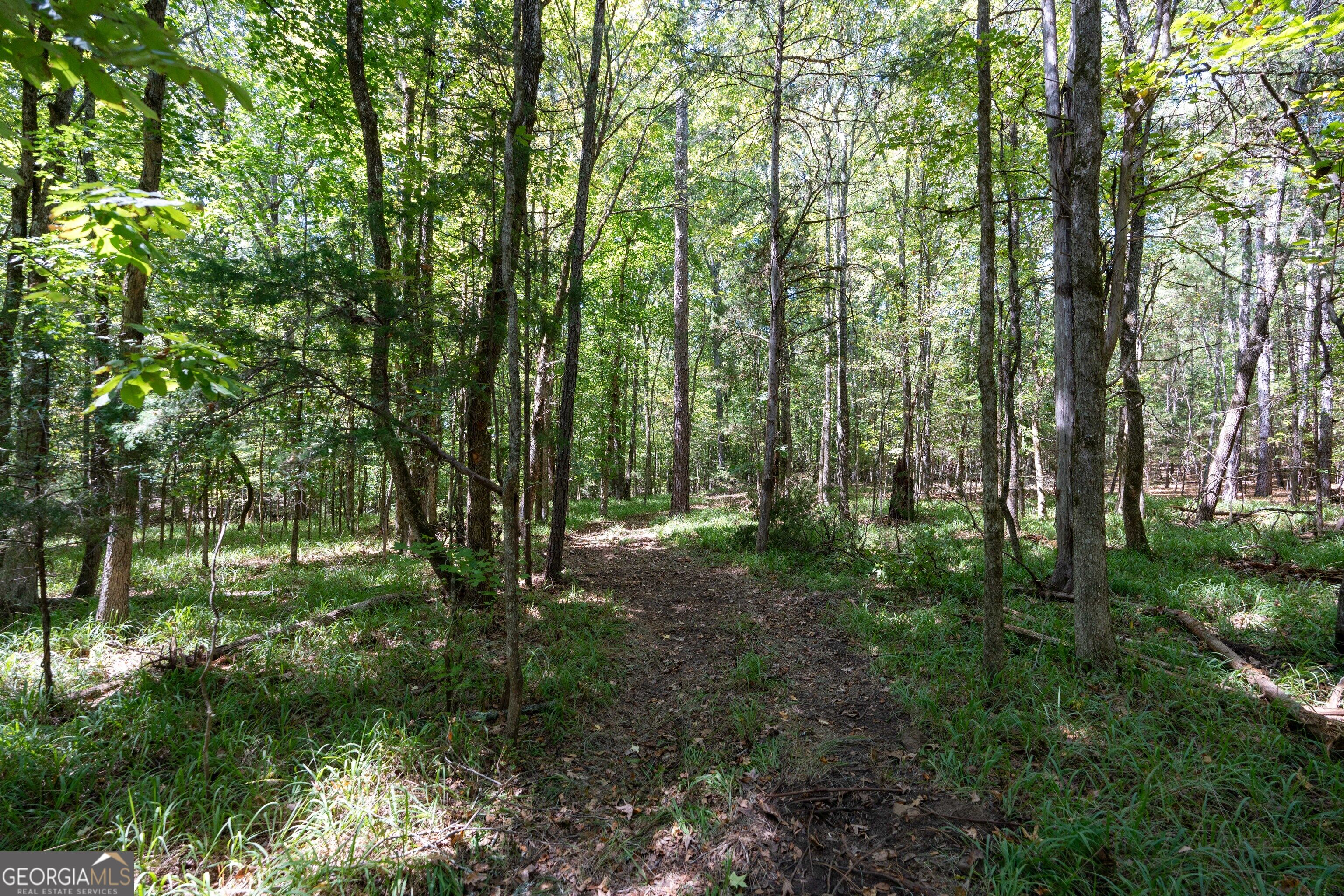 1419 Bobby Brown State Park Road Elberton, GA 30635 - Photo 79 of 90 Gallery Image 79