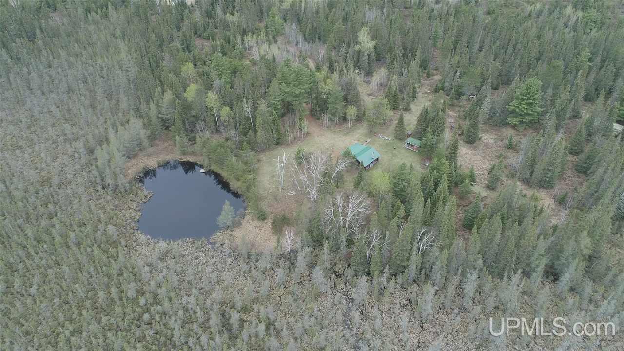 39-acres 39-acres Co Road Ishpeming, MI 49849 - Photo 35 of 39