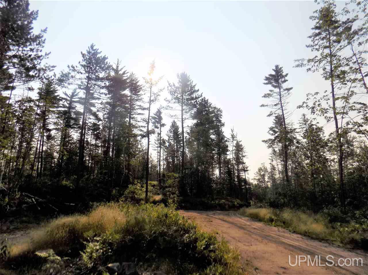 Off Off Co Road Ishpeming, MI 49849 - Photo 4 of 18