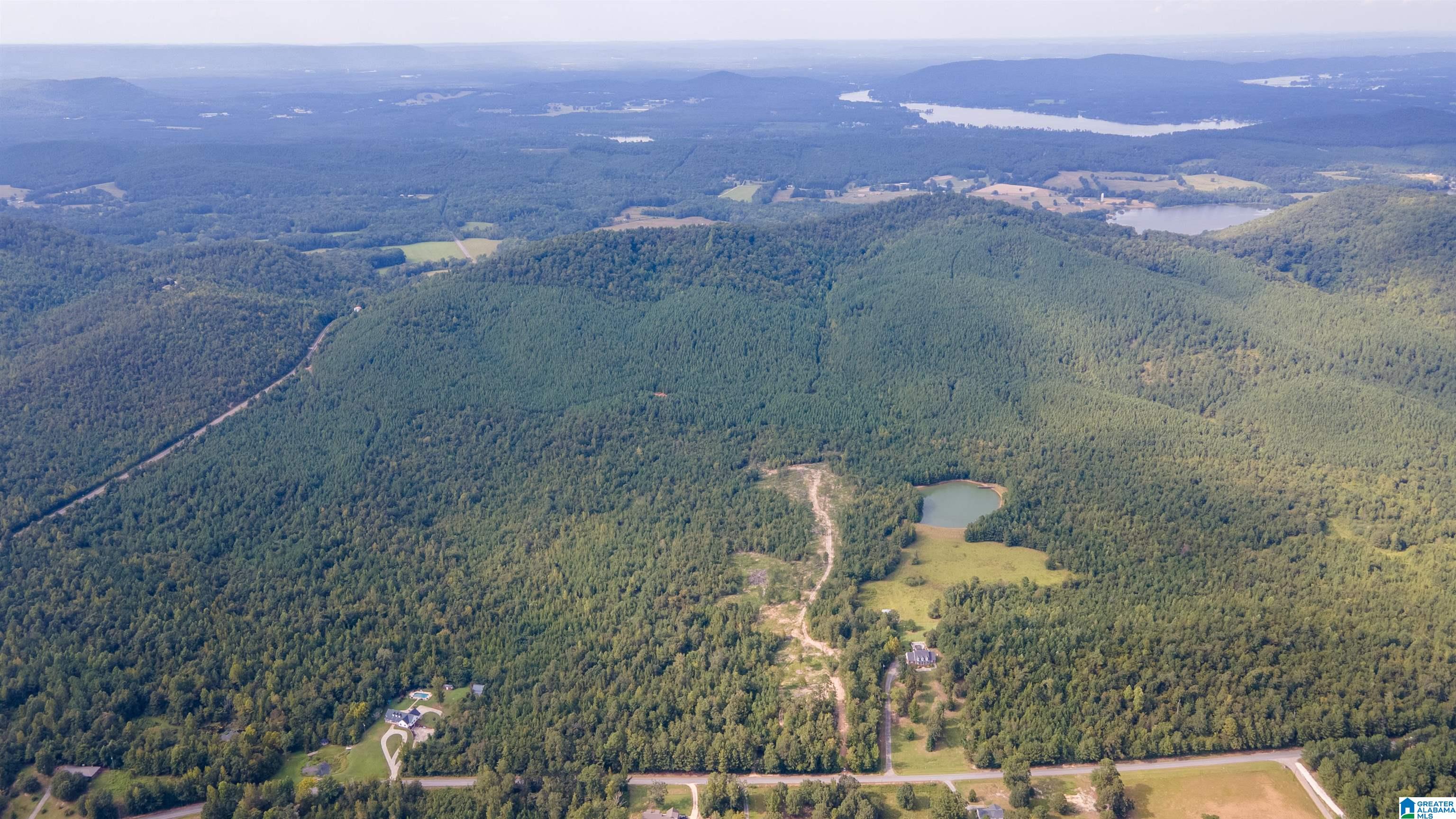 10675 Shoal Creek Road, Unit X Ashville, AL 35953 - Photo 6 of 19