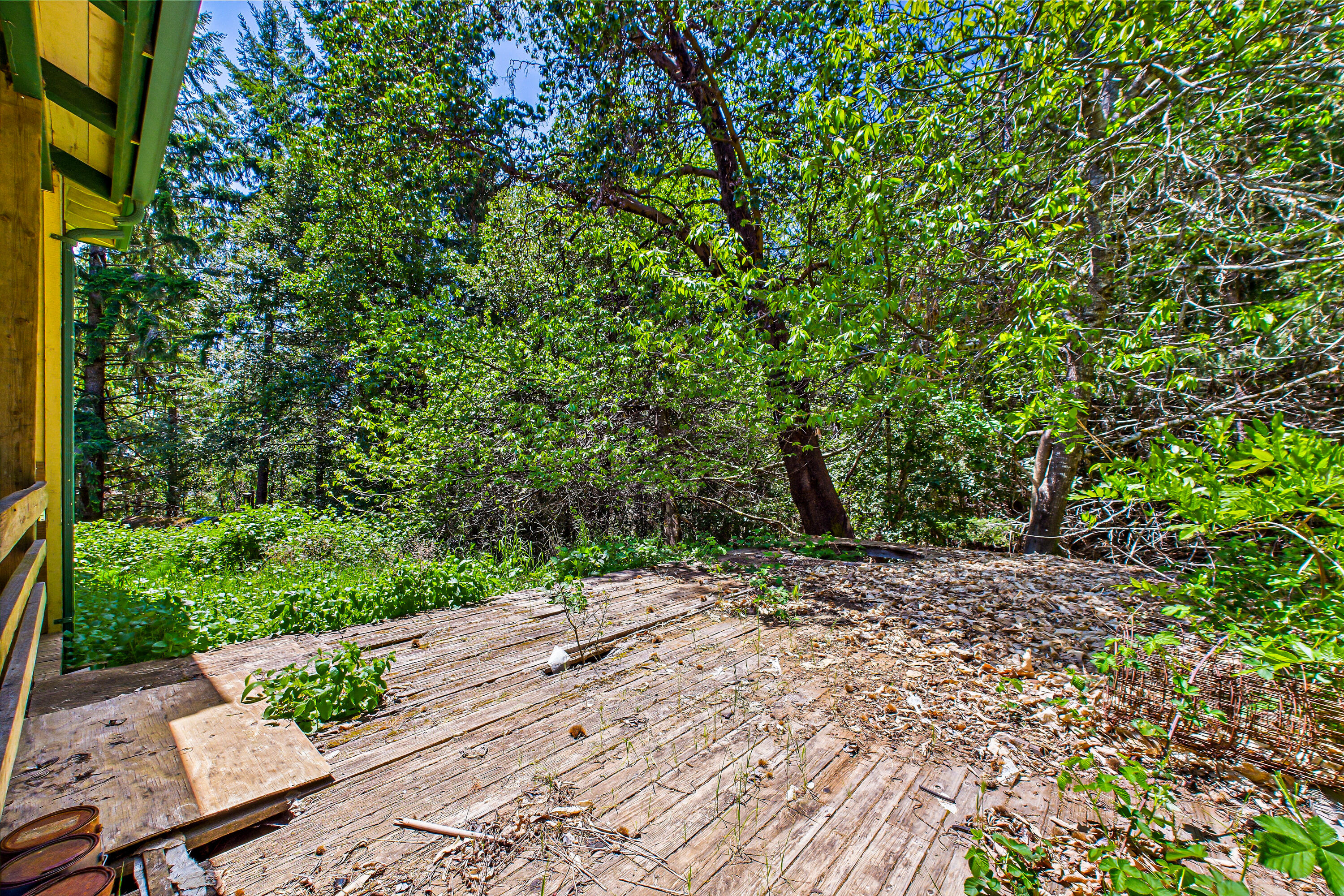 1520 Elk Rdg Road Redway, CA 95560 - Photo 45 of 86