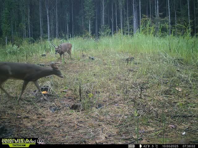 865509050069388-90-2-10302025073821-W100