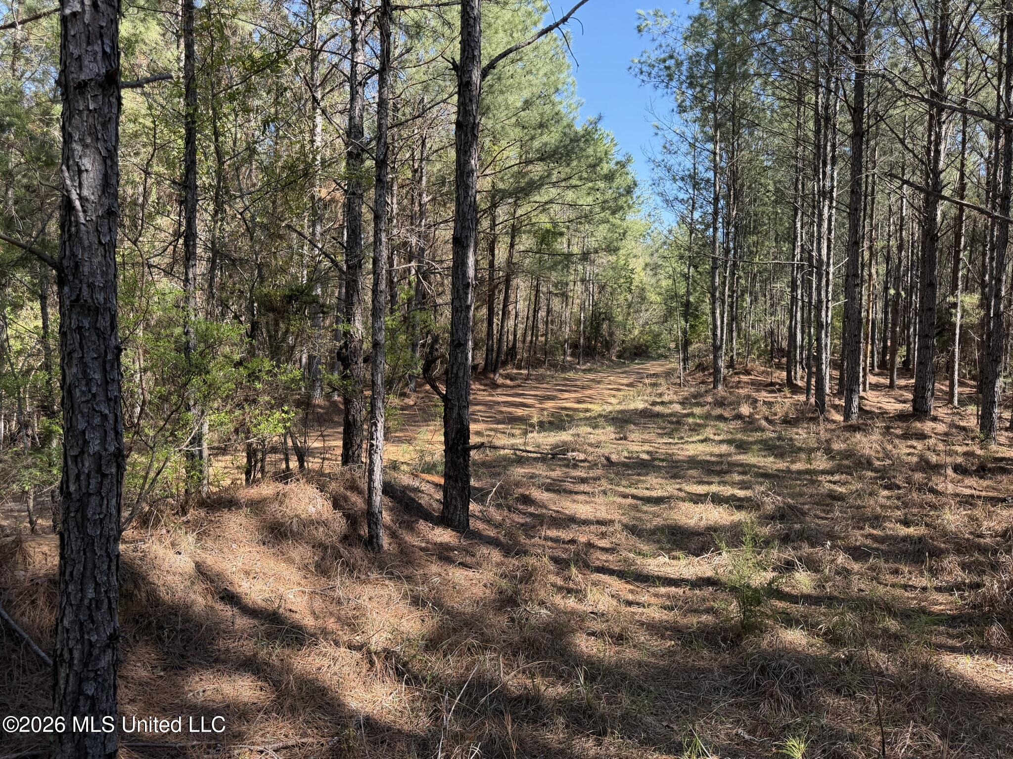 4103 County Road Sallis, MS 39160 - Photo 11 of 16 IMG_0524