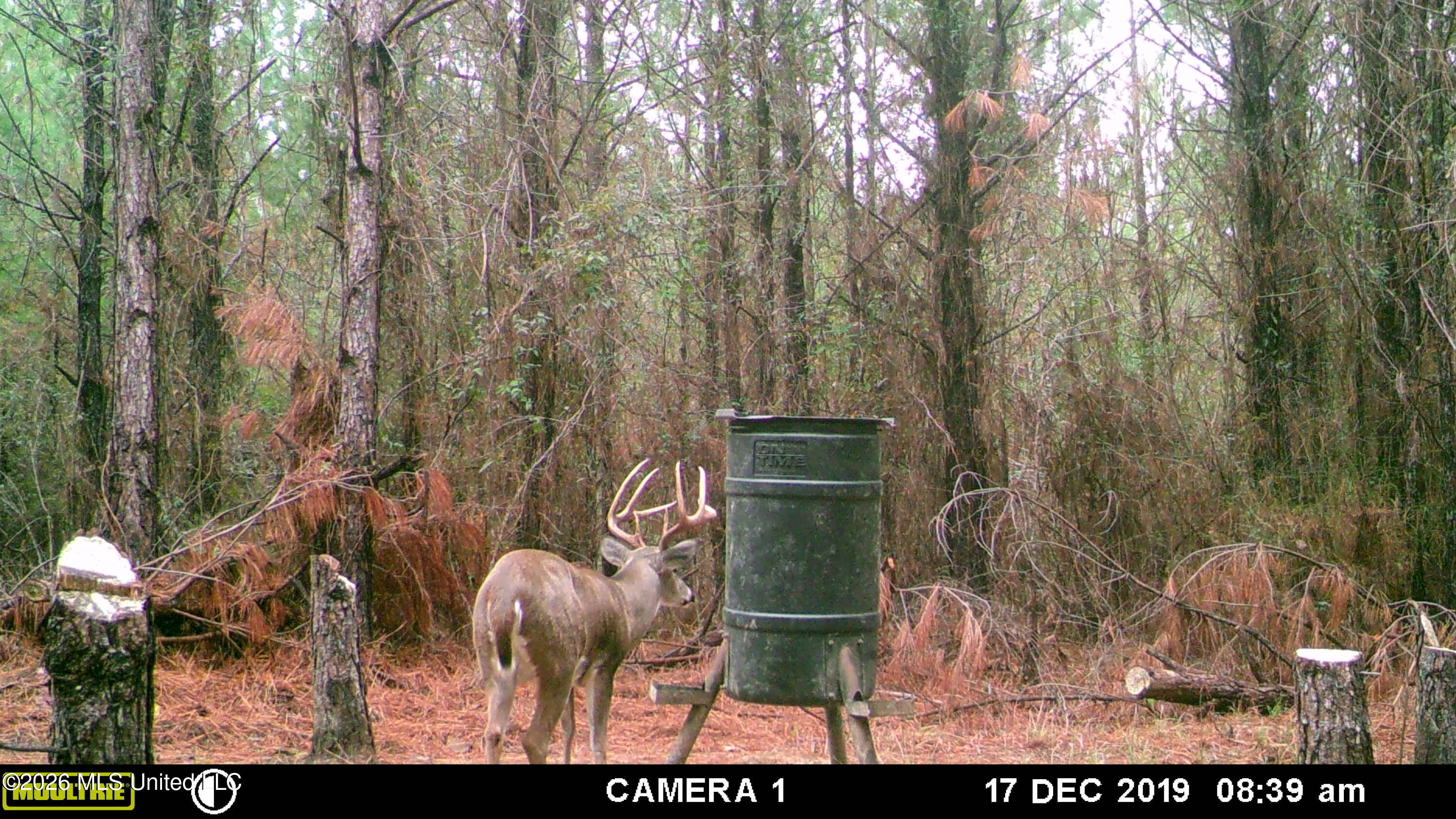 4103 County Road Sallis, MS 39160 - Photo 12 of 16 IMG_0927