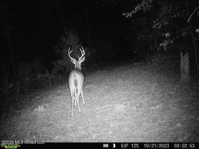 4103 County Road Sallis, MS 39160 - Photo 15 of 16 IMG_9085