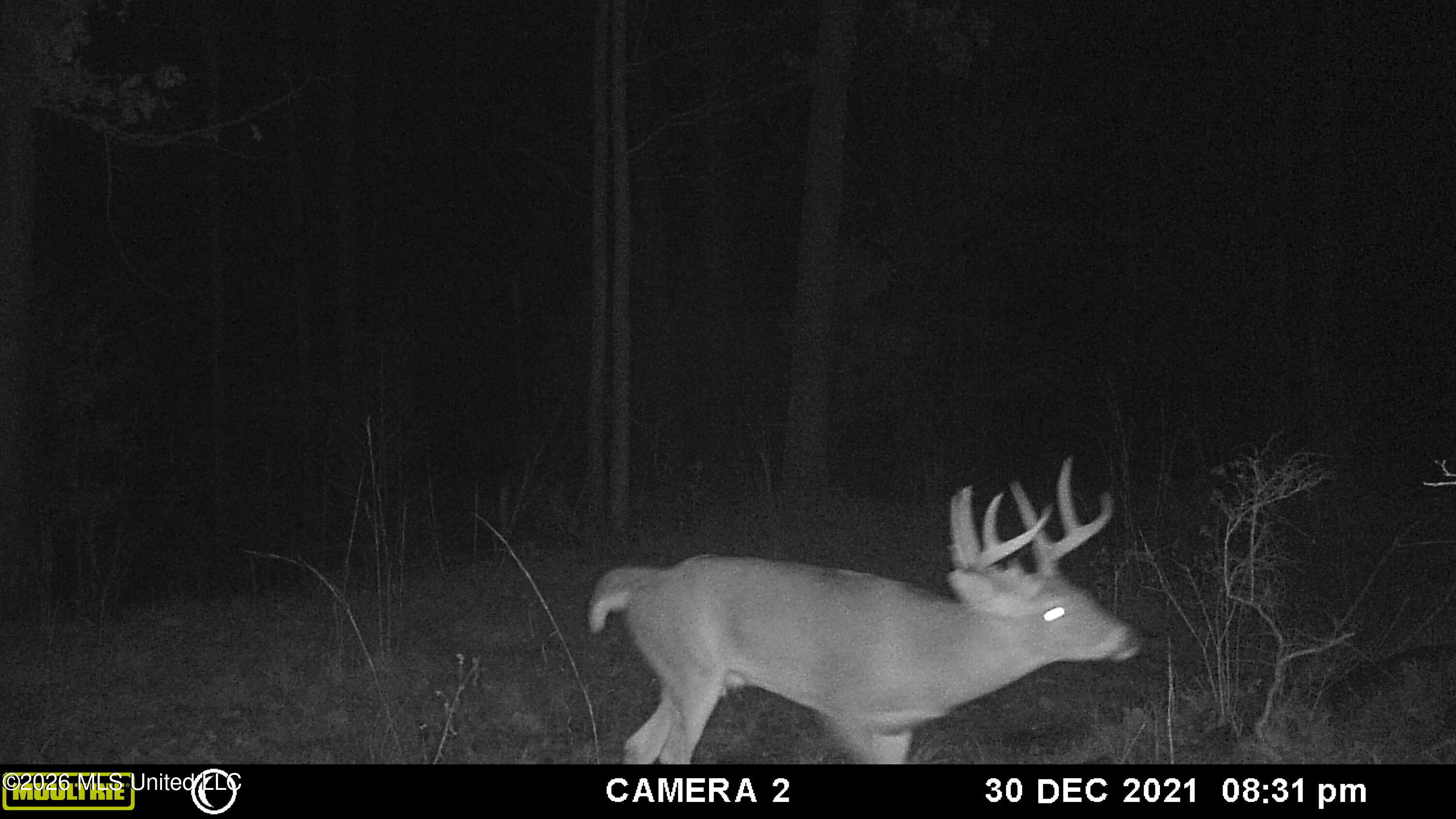 4103 County Road Sallis, MS 39160 - Photo 16 of 16 IMG_9148