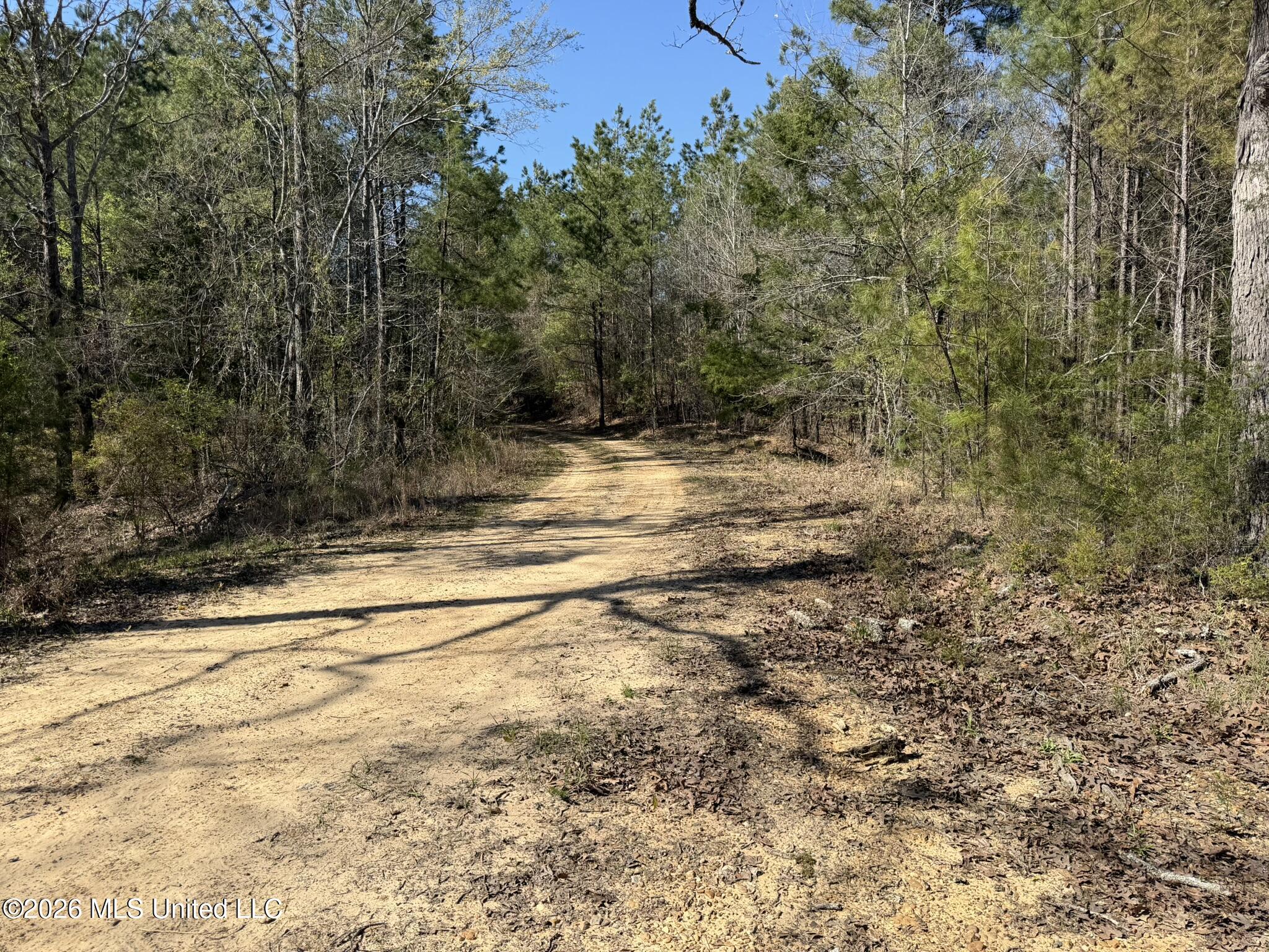 4103 County Road Sallis, MS 39160 - Photo 2 of 16 IMG_0513