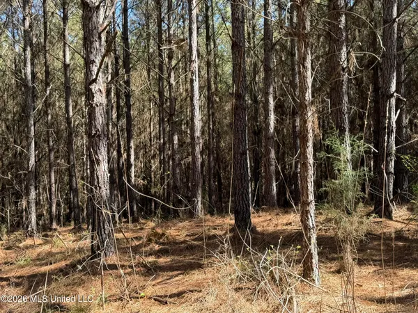 $83,250 | 4103 County Road, Sallis, MS 39160