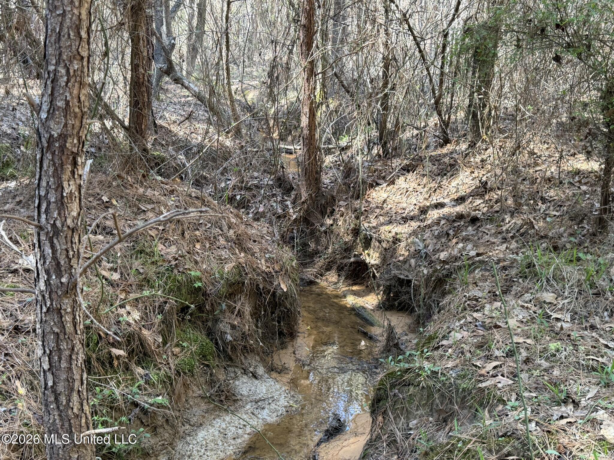 4103 County Road Sallis, MS 39160 - Photo 6 of 16 IMG_0519
