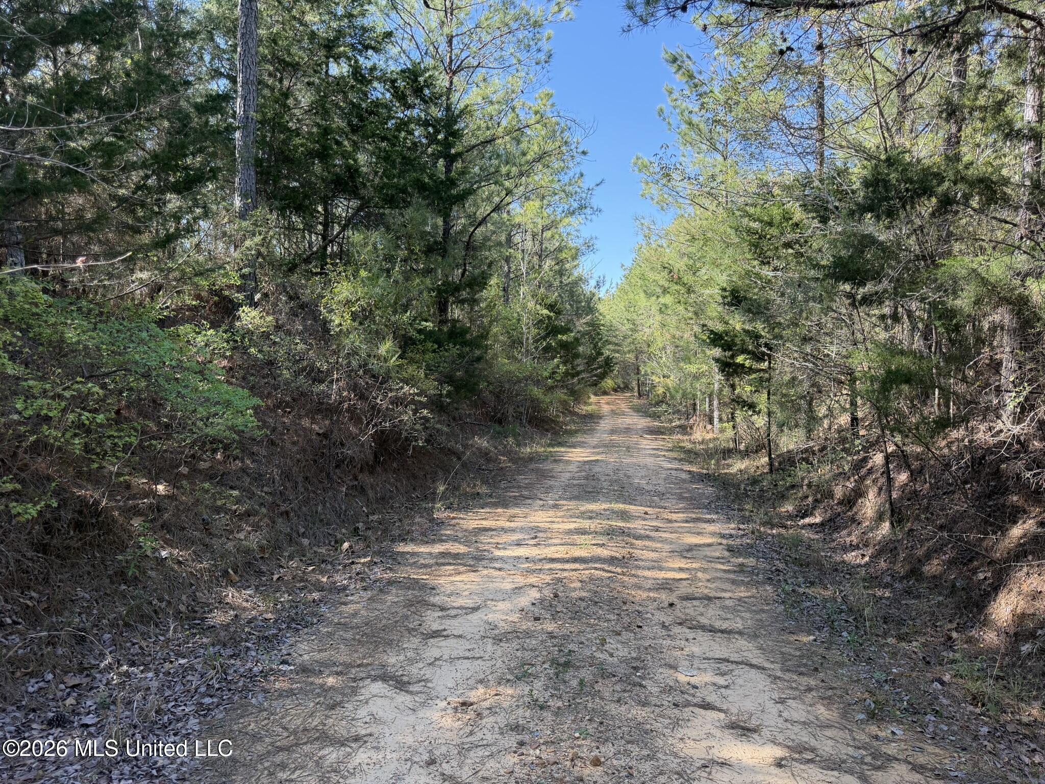 4103 County Road Sallis, MS 39160 - Photo 7 of 16 IMG_0520
