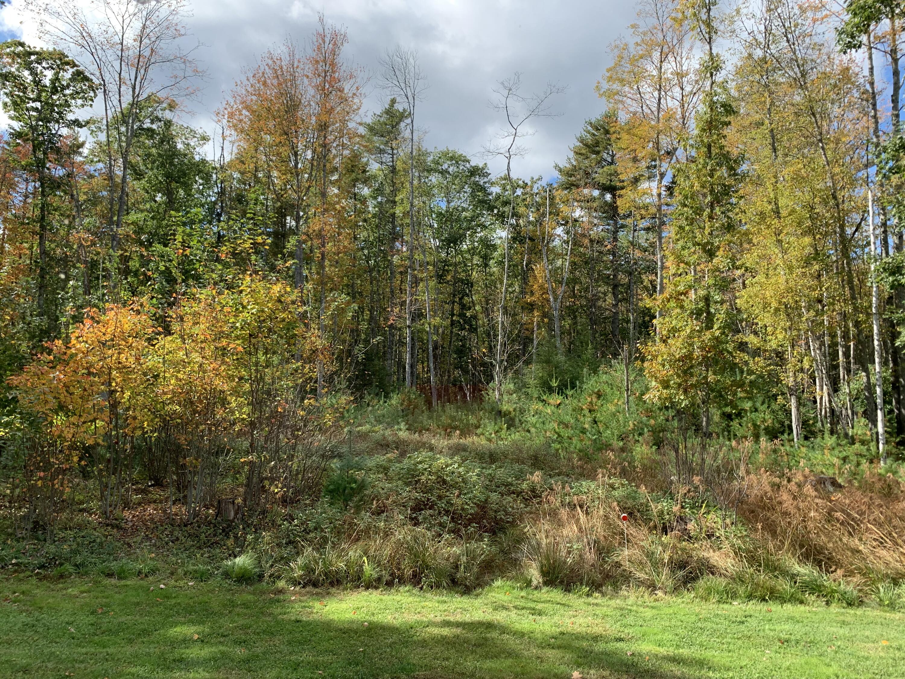 133 Phipps Point Road Woolwich, ME 04579 - Photo 37 of 38 Nature!