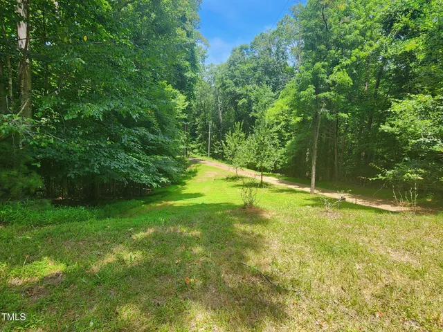 a view of a back yard