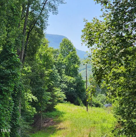 a view of a garden with a building