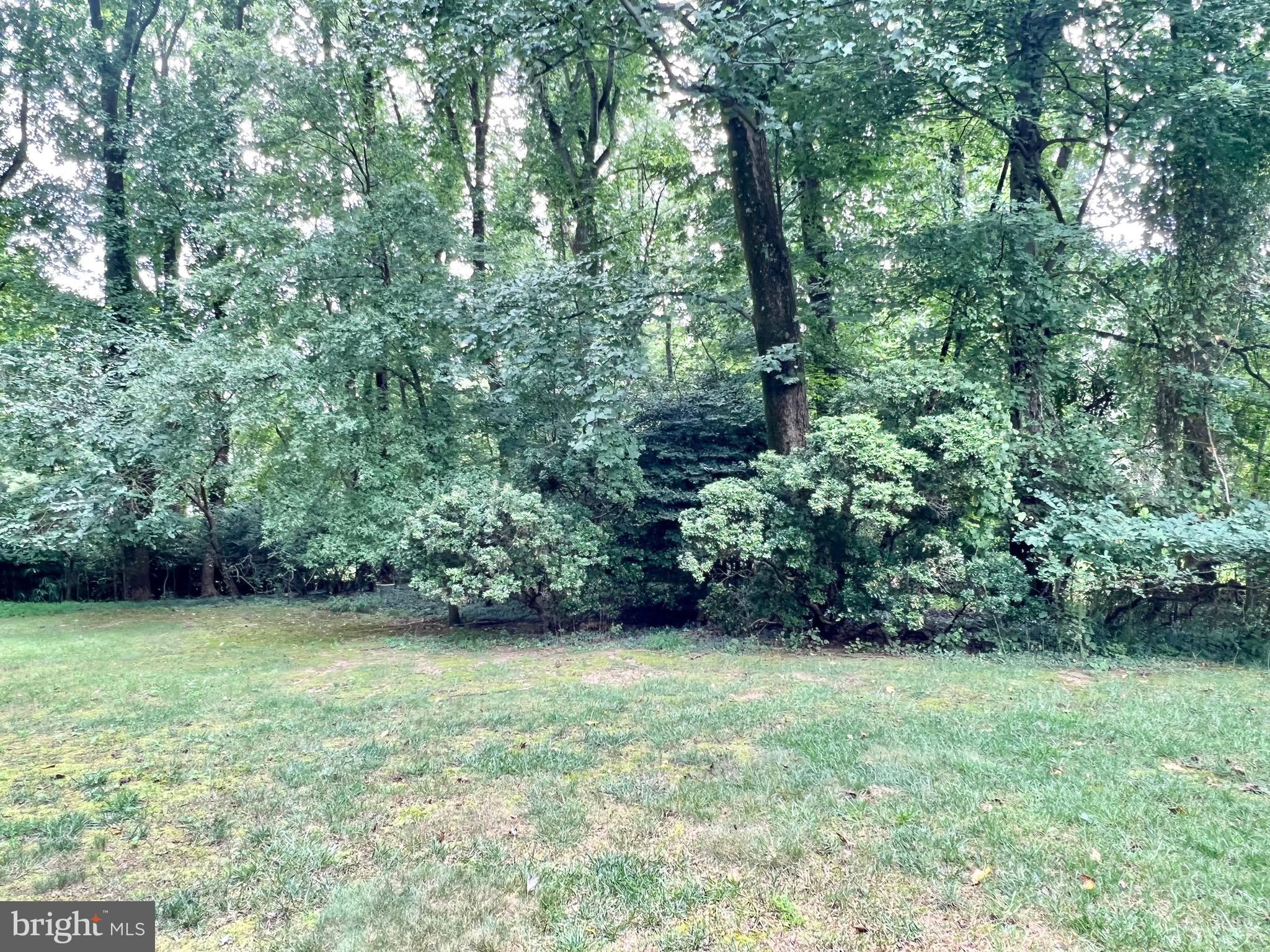 12703 Hammonton Road Silver Spring, MD 20904 - Photo 61 of 63 EXTERIOR REAR