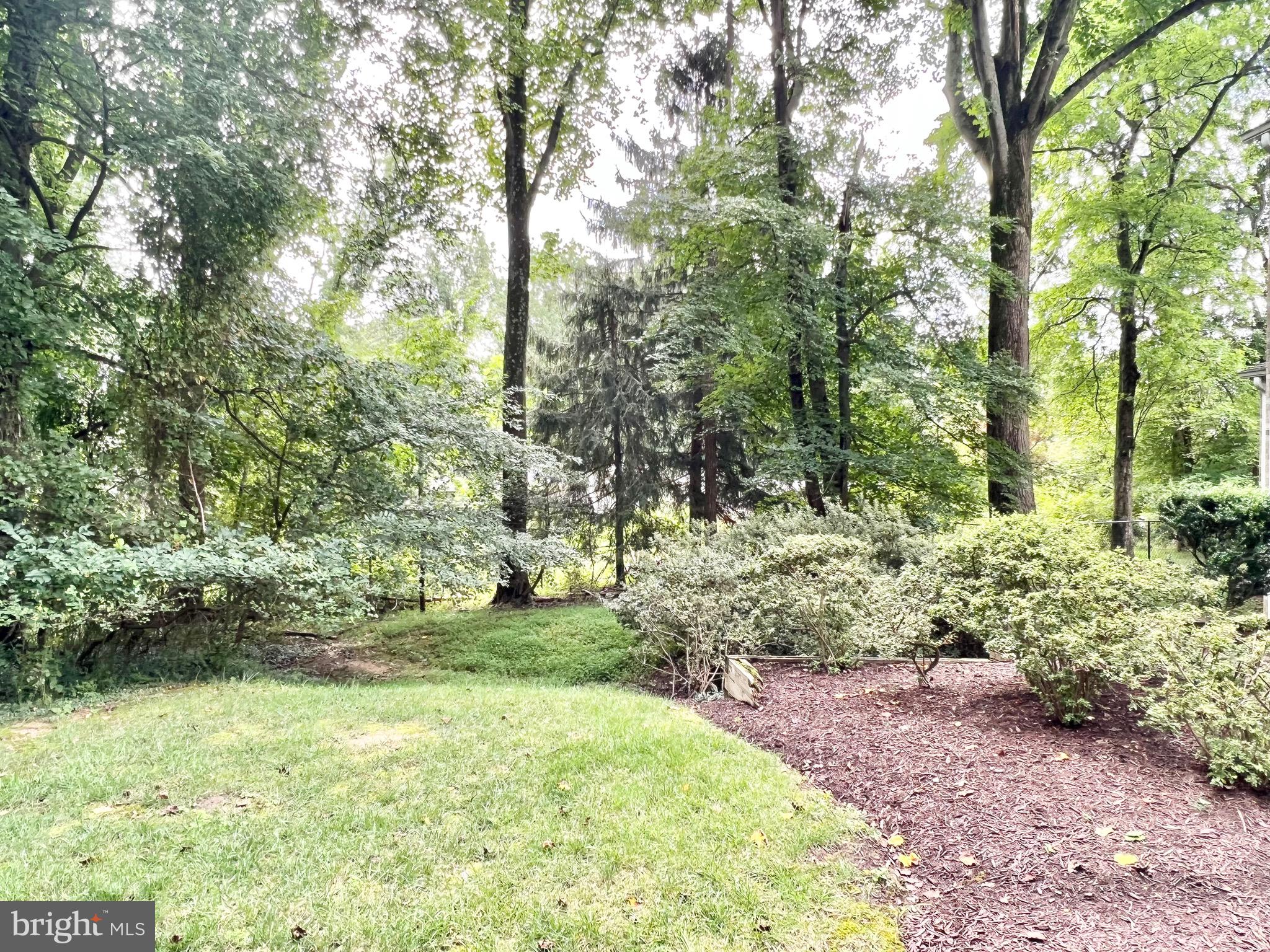 12703 Hammonton Road Silver Spring, MD 20904 - Photo 62 of 63 EXTERIOR REAR