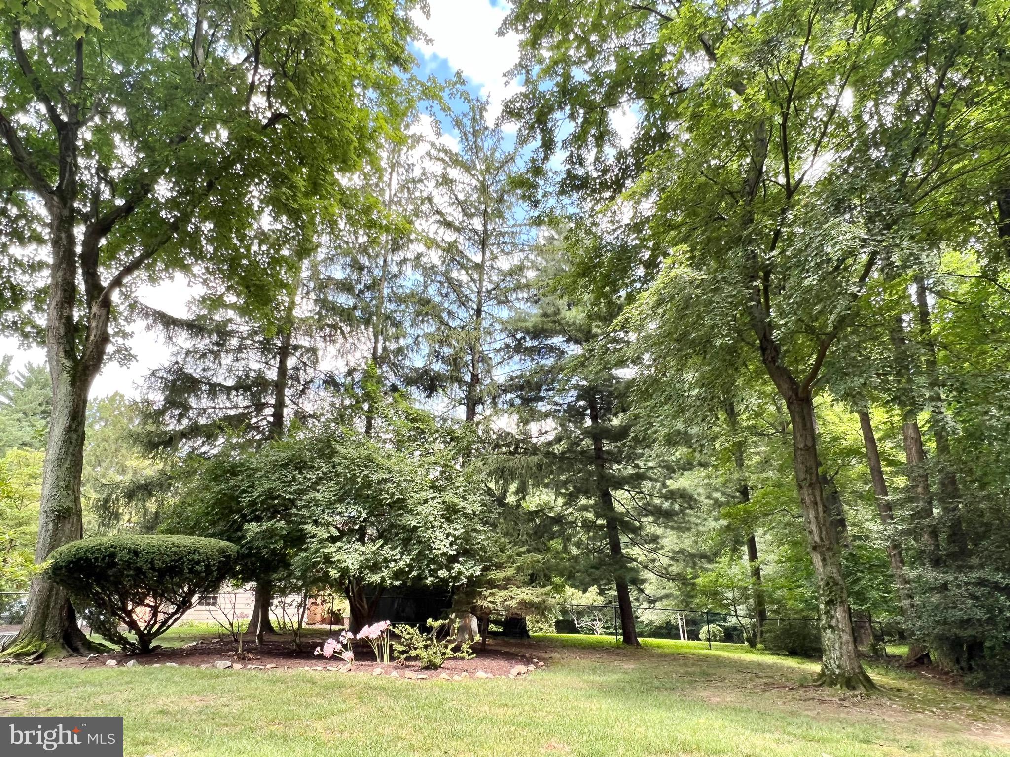 12703 Hammonton Road Silver Spring, MD 20904 - Photo 63 of 63 EXTERIOR REAR YARD