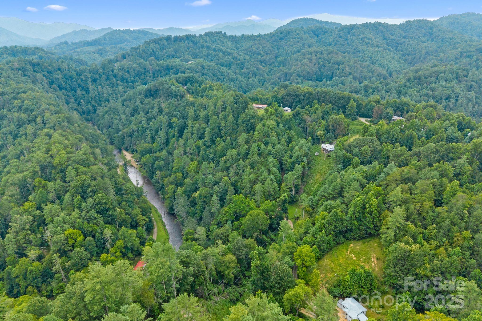 530 Rebel Ridge Road Marshall, NC 28753 - Photo 39 of 46