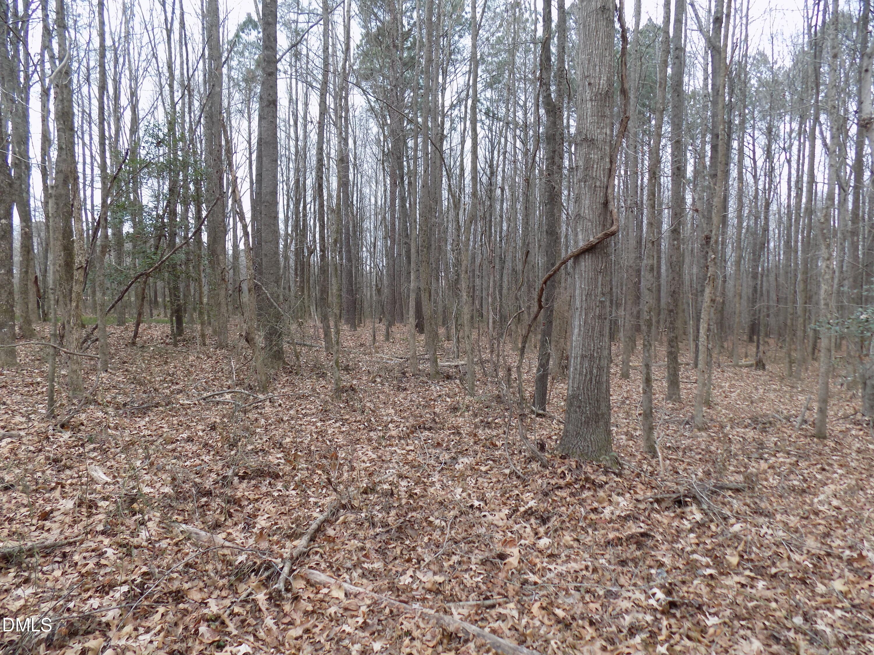 7375 Simmons Road Castalia, NC 27816 - Photo 13 of 16 s7