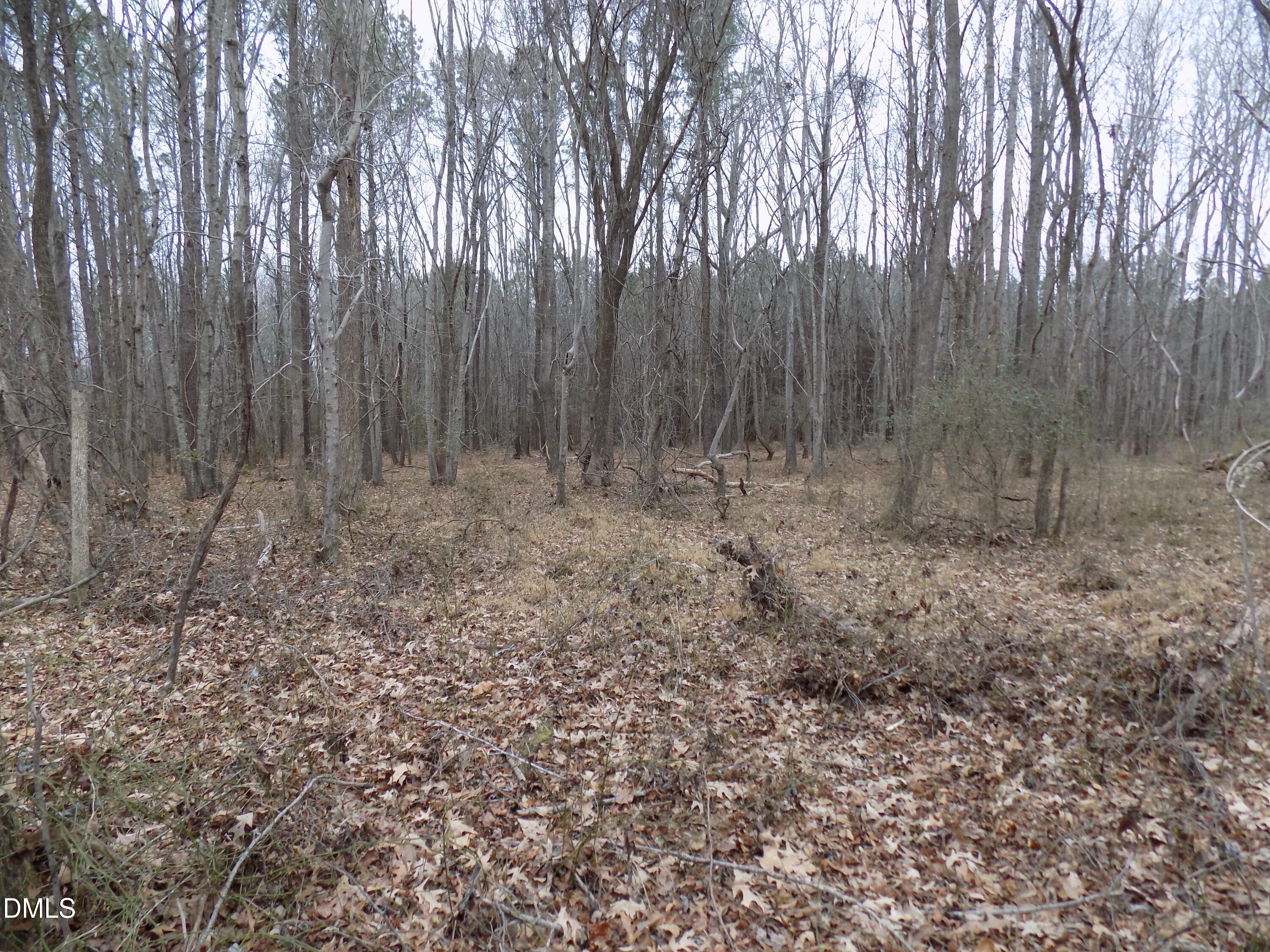 7375 Simmons Road Castalia, NC 27816 - Photo 14 of 16 s8