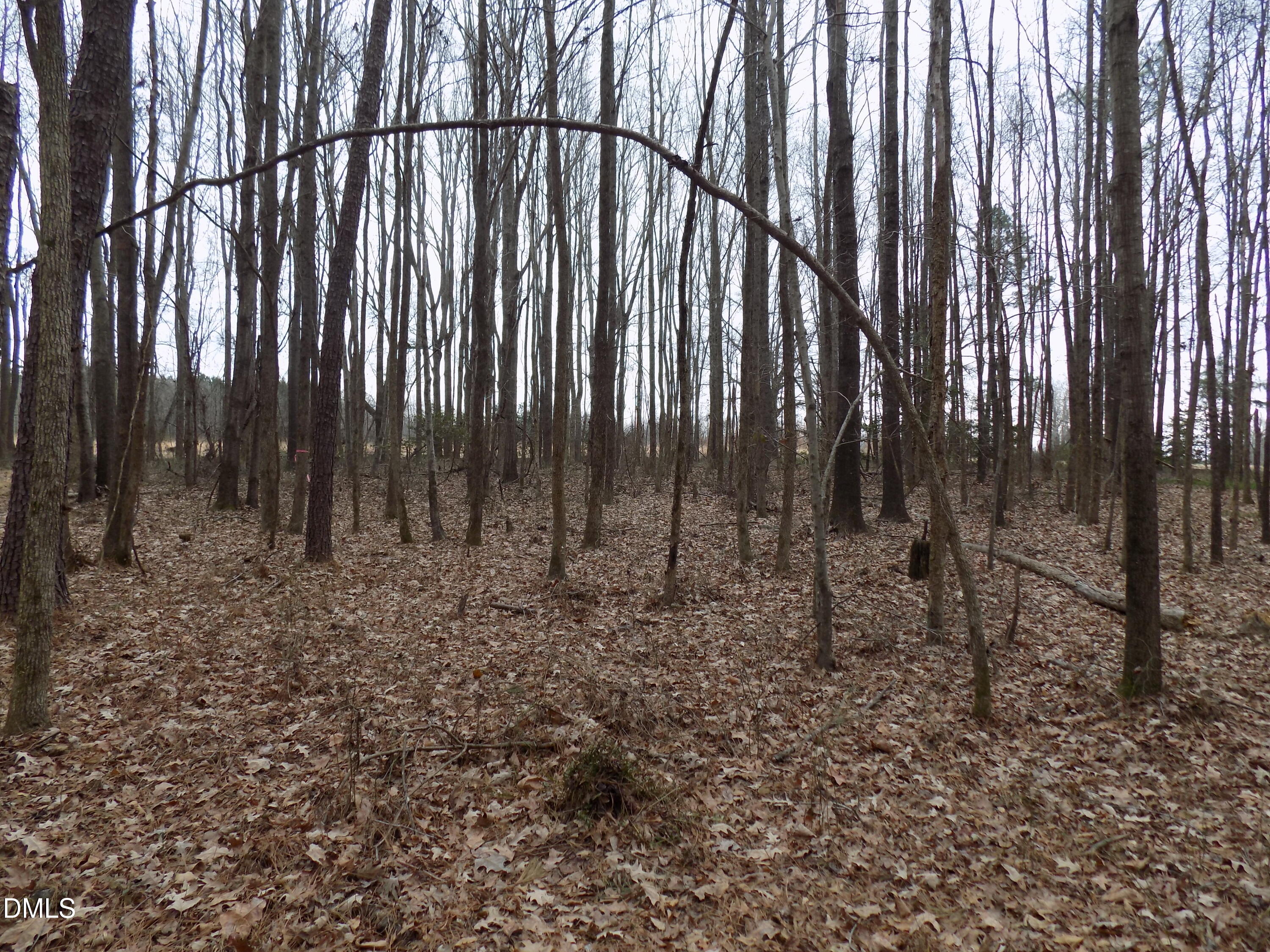 7375 Simmons Road Castalia, NC 27816 - Photo 8 of 16 s2