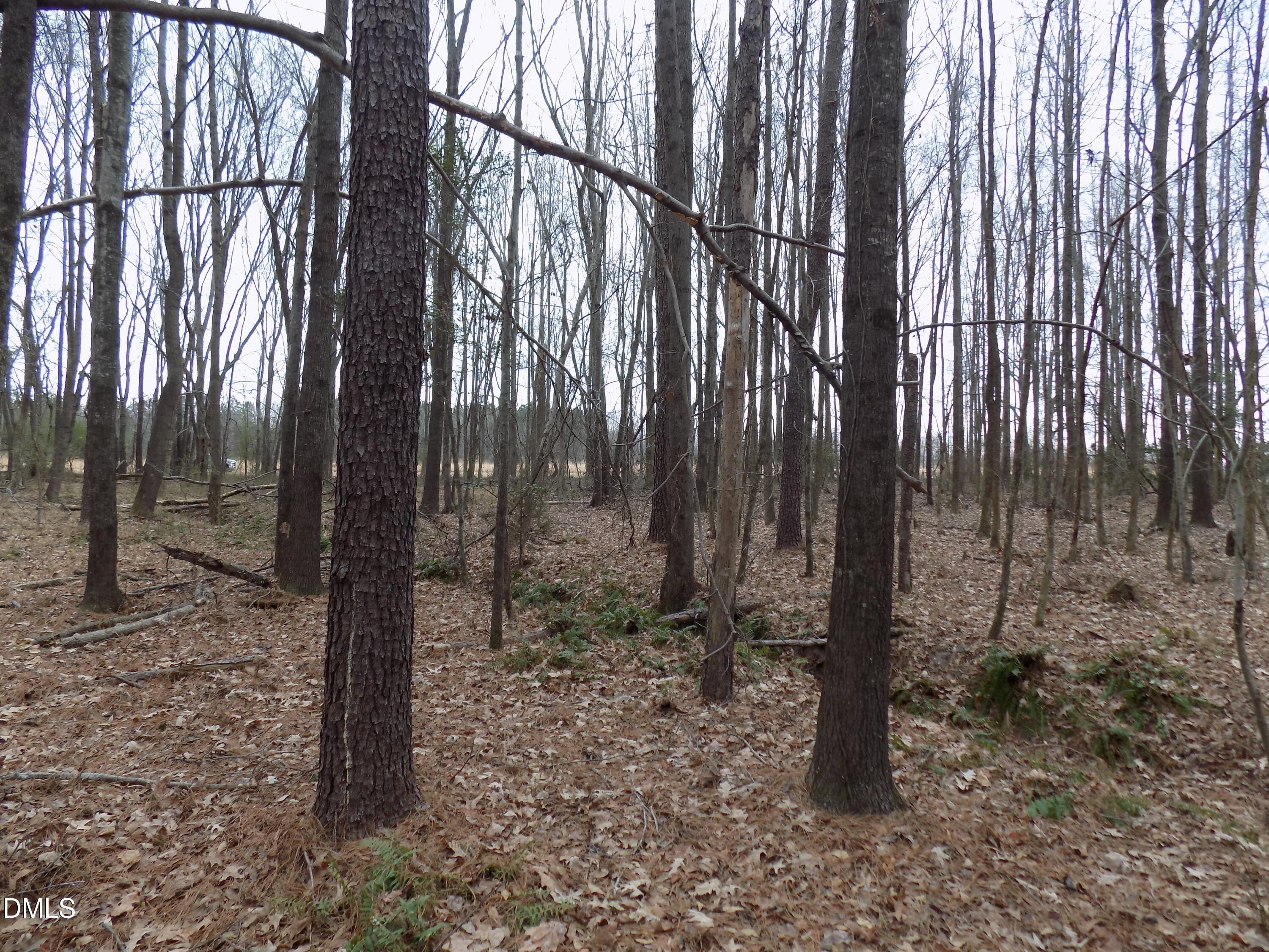 7375 Simmons Road Castalia, NC 27816 - Photo 9 of 16 s3