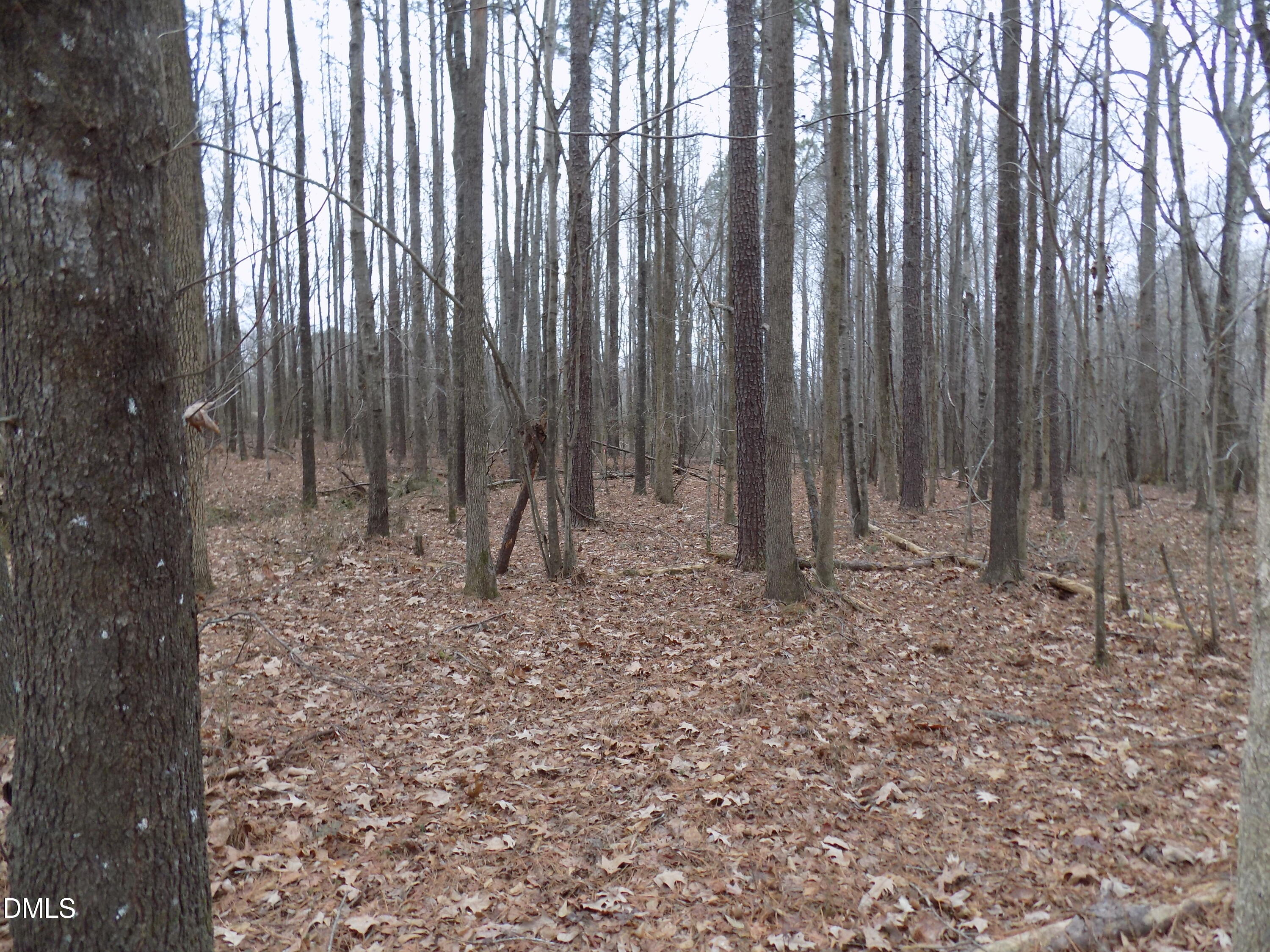 7375 Simmons Road Castalia, NC 27816 - Photo 10 of 16 s4