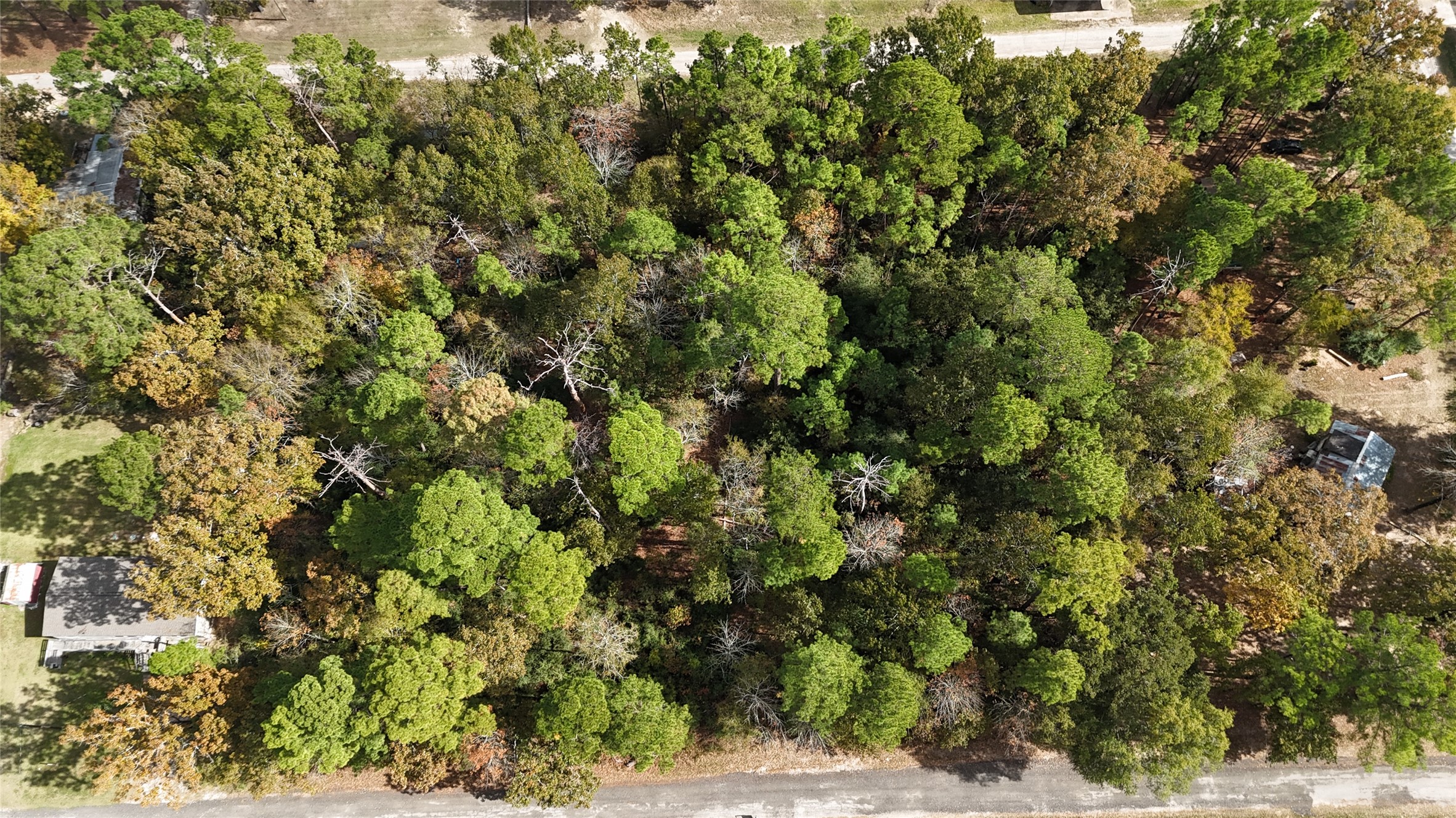160 Nina Trail Trinity, TX 75862 - Photo 2 of 3 a view of a yard with plants