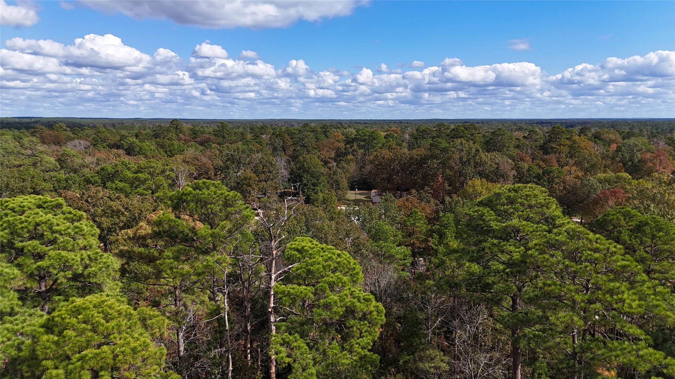 160 Nina Trail Trinity, TX 75862 - Photo 3 of 3 a view of a yard