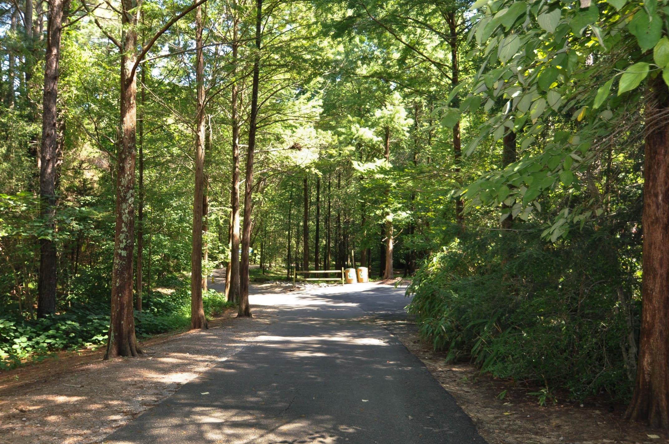 7608 Stuart Drive Raleigh, NC 27615 - Photo 35 of 37 Convenient to Shelley Lake
