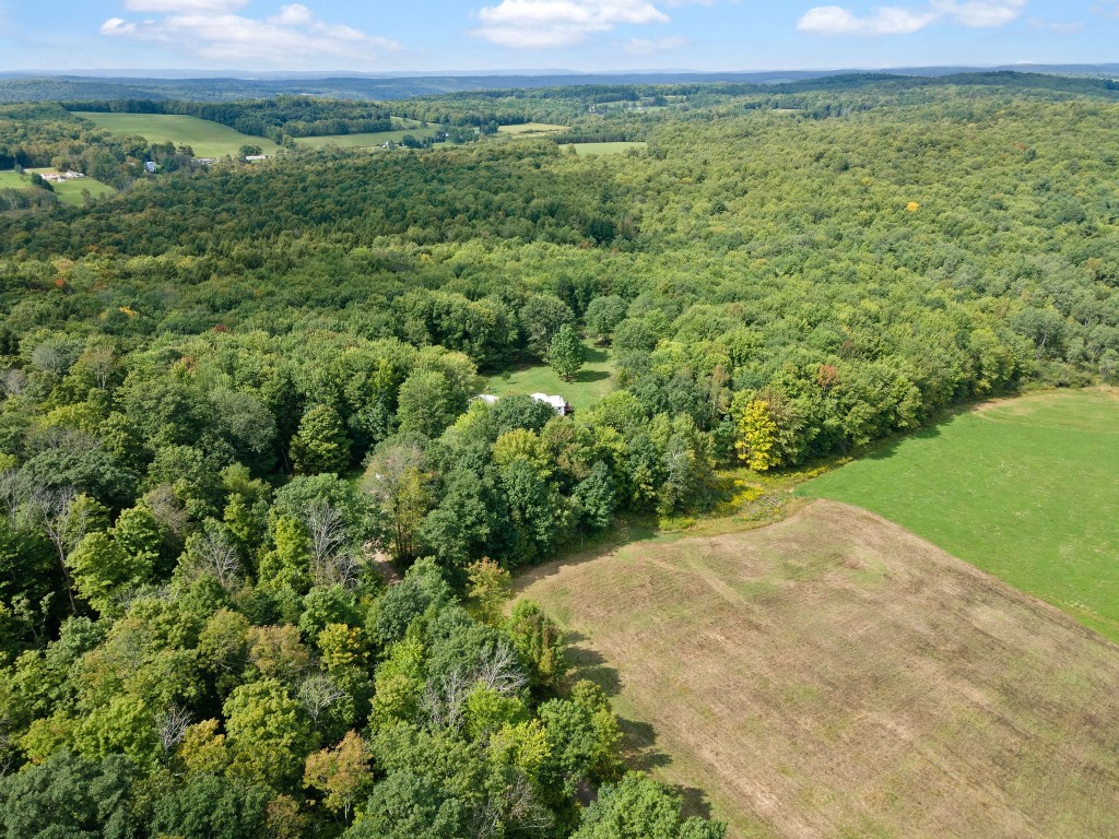 275 Ingraham Road Greene, NY 13778 - Photo 3 of 44 Gallery Image 3