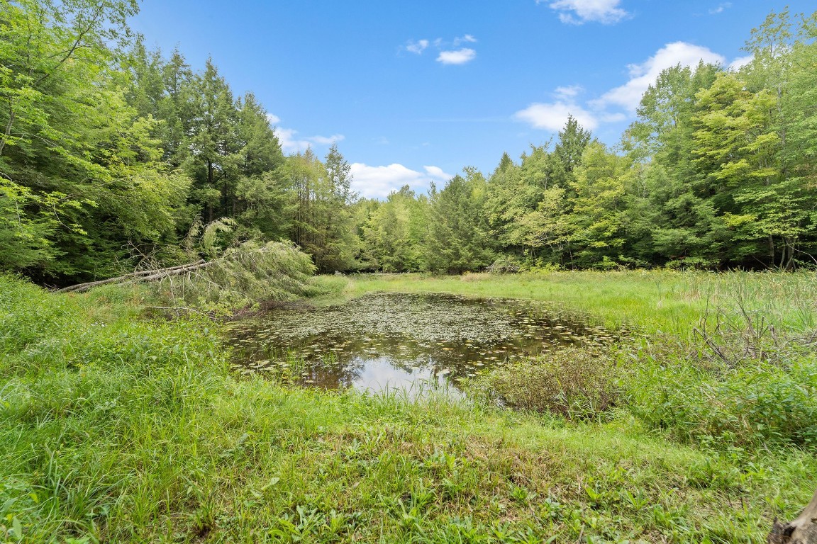 275 Ingraham Road Greene, NY 13778 - Photo 41 of 44 Gallery Image 41