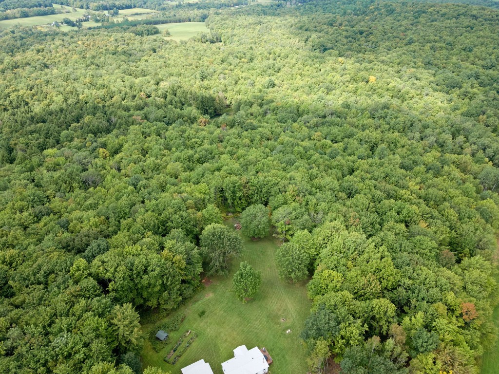 275 Ingraham Road Greene, NY 13778 - Photo 5 of 44 Gallery Image 5