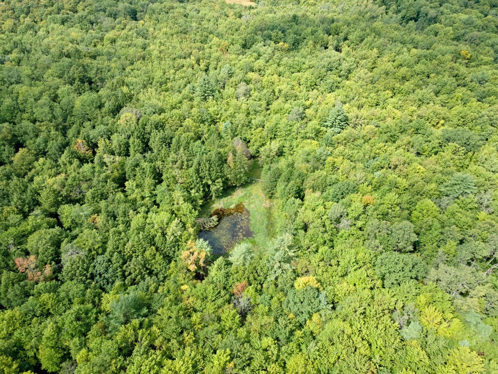 275 Ingraham Road Greene, NY 13778 - Photo 6 of 44 Gallery Image 6