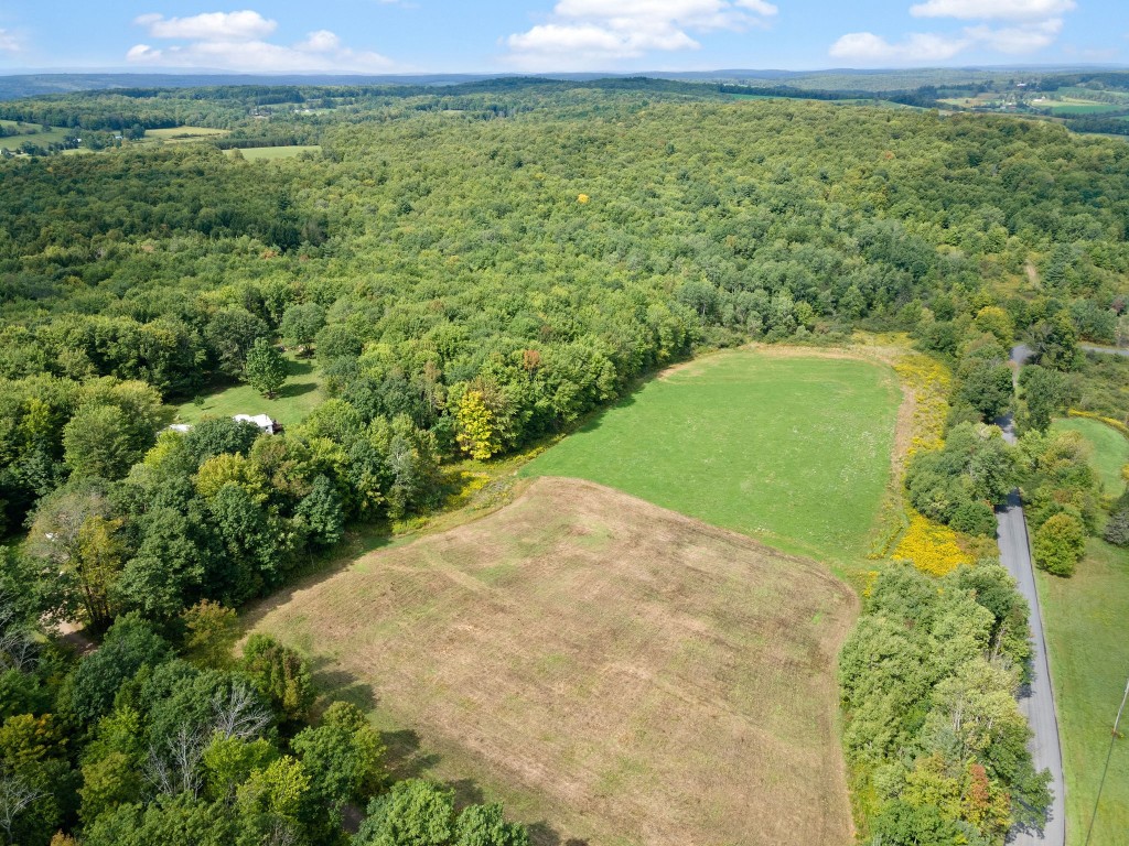 275 Ingraham Road Greene, NY 13778 - Photo 7 of 44 Gallery Image 7
