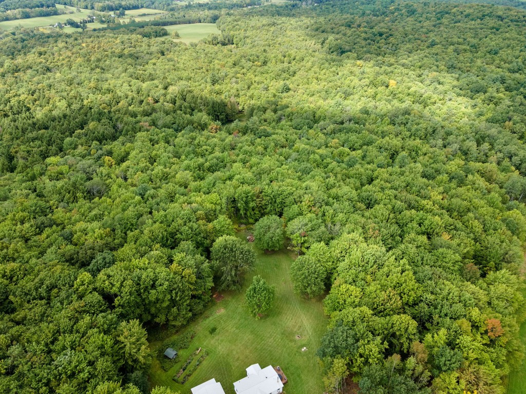 275 Ingraham Road Greene, NY 13778 - Photo 9 of 44 Gallery Image 9