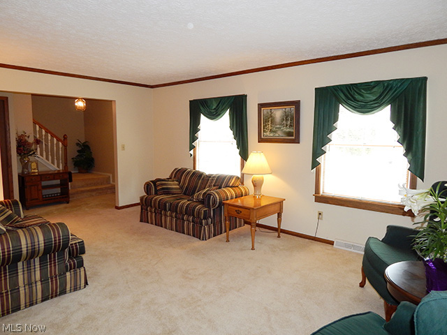 8066 Ballash Road Medina, OH 44256 - Photo 4 of 25 Gallery Image 4