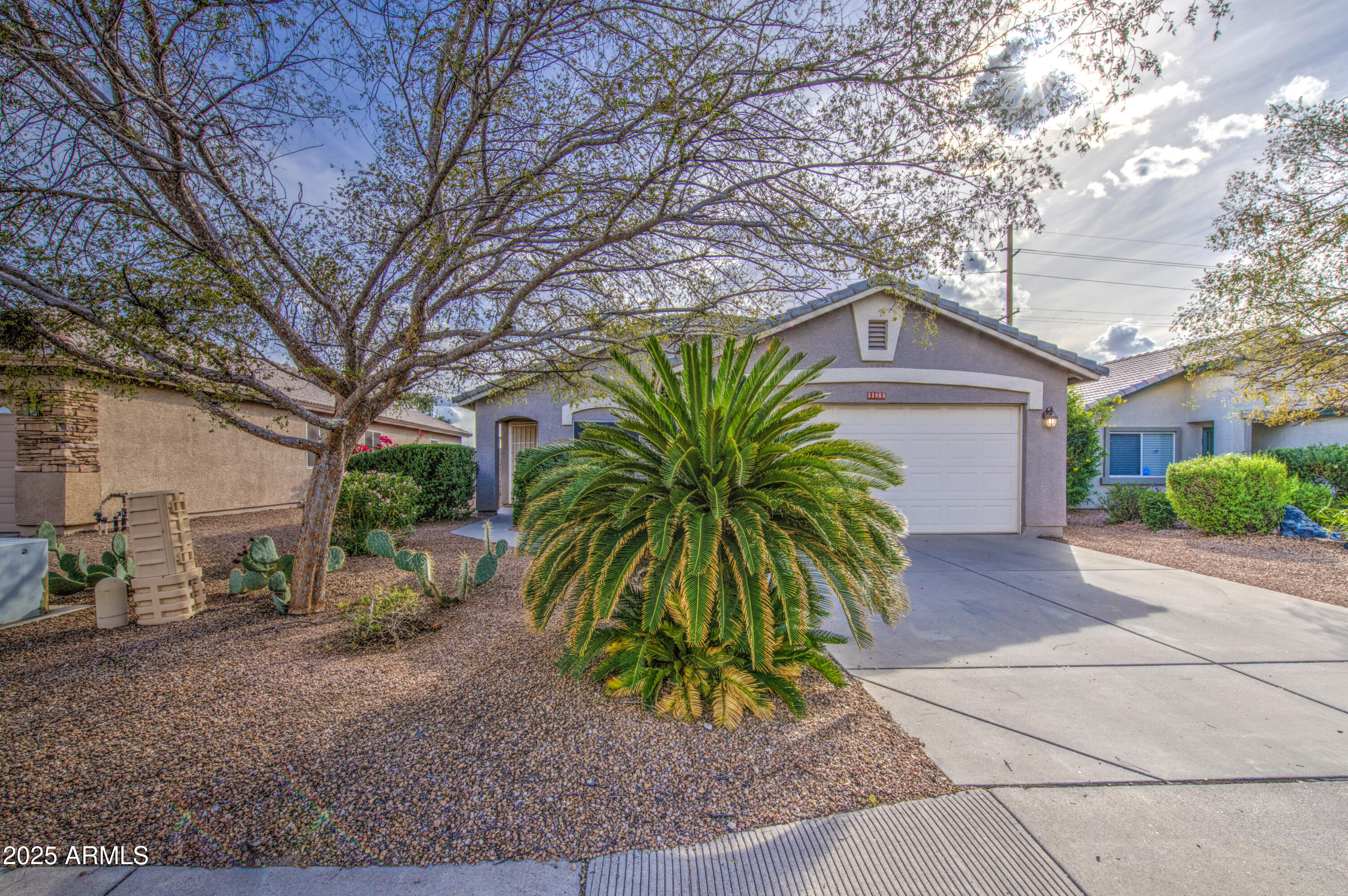 11465 East Cicero Street Mesa, AZ 85207 - Photo 3 of 36 a palm tree sitting in front of a house with a yard