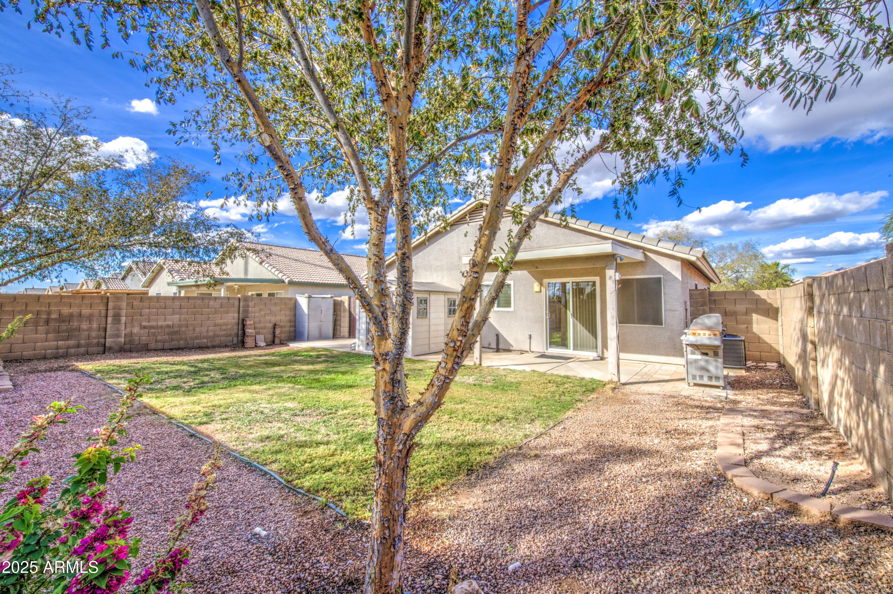 11465 East Cicero Street Mesa, AZ 85207 - Photo 32 of 36 a white house with a large tree in front of it