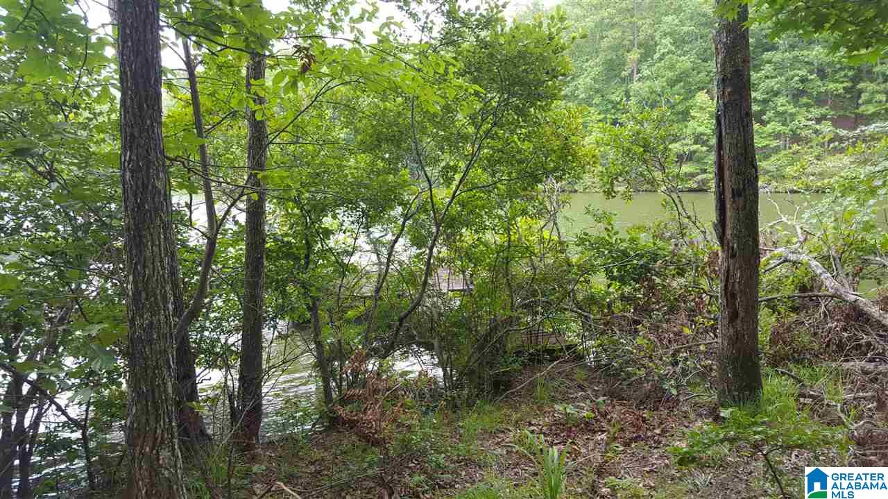 11-acres Deer Run Road, Unit 148330000001 010 Alabaster, AL 35007 - Photo 22 of 34