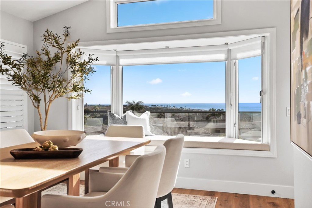 15 Santa Lucia Dana Point, CA 92629 - Photo 6 of 53 Bay window with views