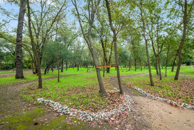 a view of a park with trees