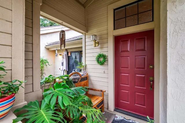 a potted plant sitting in front of a door