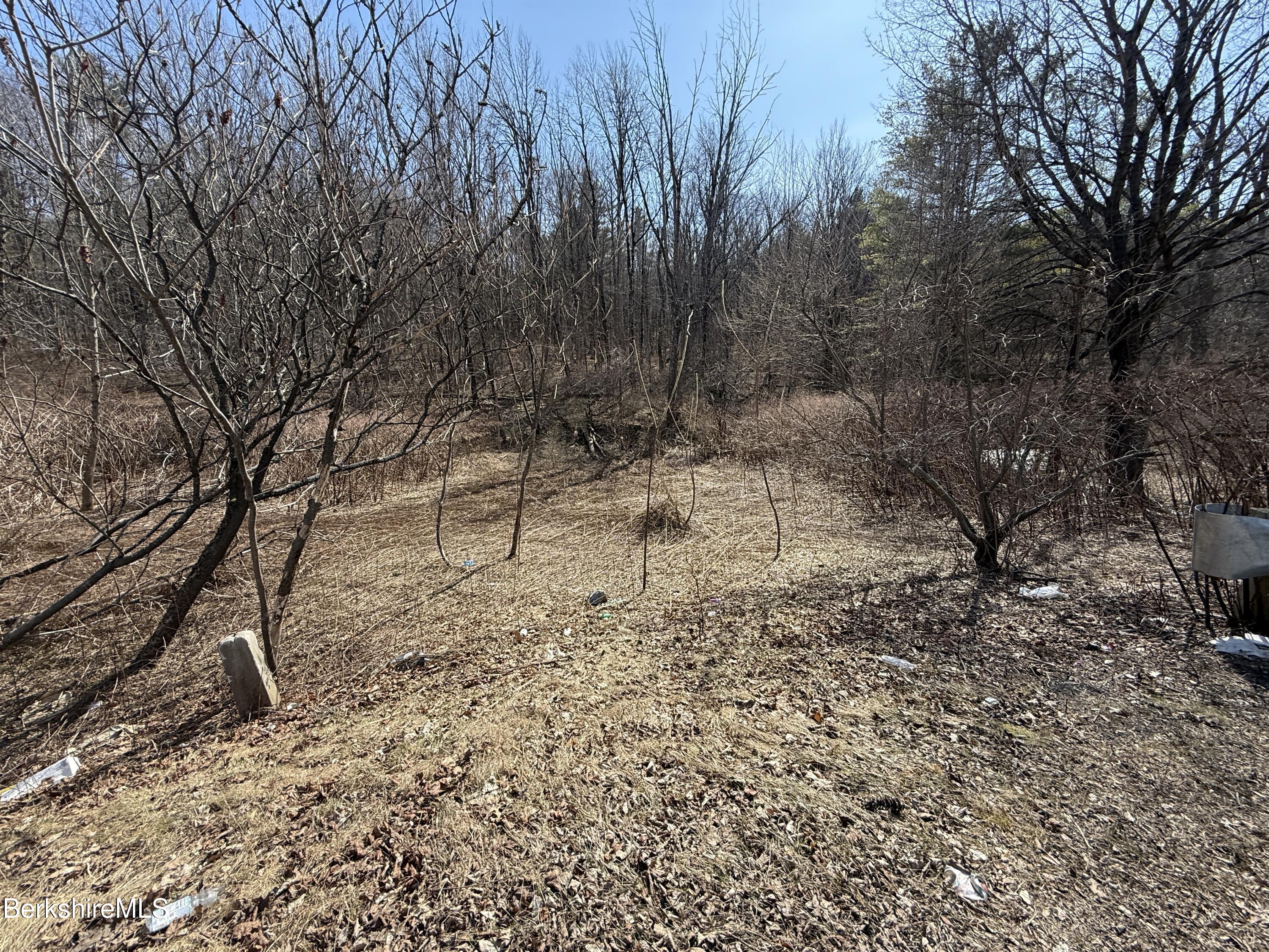 800 Cape Street Lee, MA 01238 - Photo 3 of 11